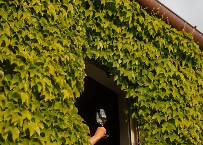 Βίλα Podere La Piscina Acqua Calda Restart San Casciano dei Bagni